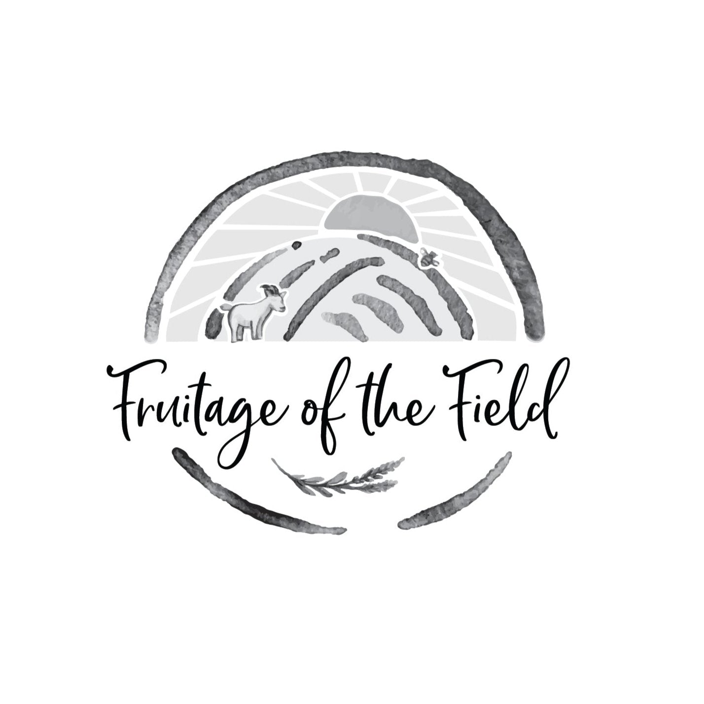 Beard Oil - Cedar & Sage